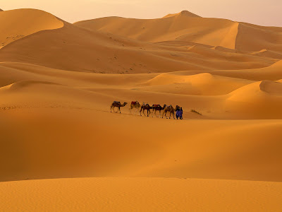Sahara Desert- Concerned - WahWasabiLearningEnglishGrammar