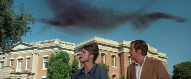 Michael Caine and Katharine Ross try to save a Texas town from an invasion by killer bees.