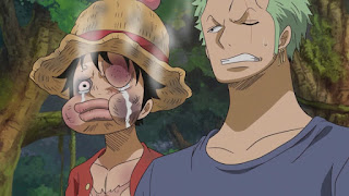 ワンピースアニメ ゾウ編 麦わらの一味 | ONE PIECE ZOU ARC