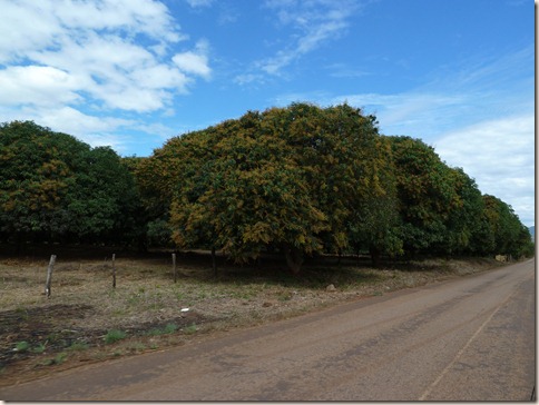P1020274