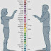 COLORS FOR MAN AND WOMAN COLORS PERCEPTION