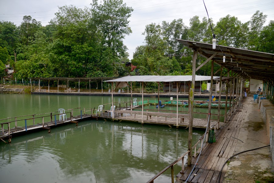 Uni Fishing Pond Seri Kembangan: Kolam Pancing Air Masin ...