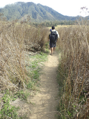 oro-oro ombo semeru