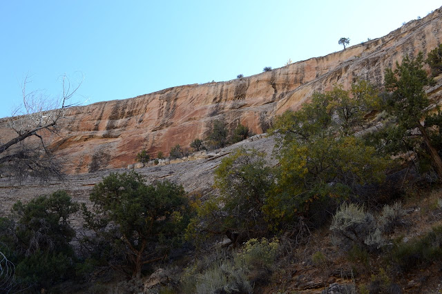 high canyon wall