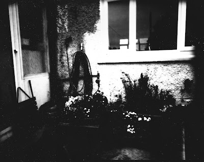 Pinhole Photograph of my Back Garden