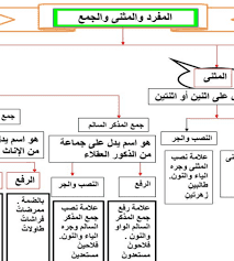 اعراب المثنى وجمع المذكر السالم لغة عربية للصف السادس 2024