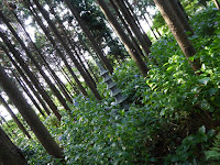 長尾の寺・正俊寺の紫陽花庭園　石塔