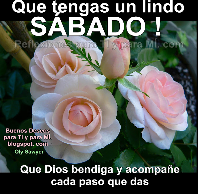 Que tengas un lindo SÁBADO !  Que Dios bendiga y acompañe cada paso que das.