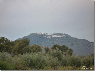 P1080226