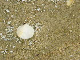 Barkby Beach, North Wales Beach, 