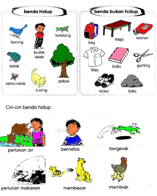 Dunia Sains dan Teknologi Tahun 1 Benda  Hidup dan Benda  