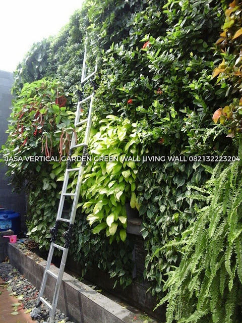 JASA PEMBUATAN VERTICAL GARDEN BOGOR, JASA VERTICAL GARDEN BOGOR, JASA TUKANG TAMAN VERTICAL BOGOR, JASA PEMBUATAN DINDING HIDUP BOGOR, JASA PEMBUATAN DINDING HIJAU BOGOR, roof garden murah, roof garden design, roof garden minimalis, roof garden sederhana, roof garden detail, roof garden medan, roof garden BOGOR, drainasecell roof garden, versicel roof garden, roof garden indonesia, roof garden BOGOR, roof garden system, roof garden, roof garden adalah, drainasecell, versicell, alat roof garden, cara membuat roof garden, peralatan roof garden, roof top, top roof garden, taman dak atas, cara membuat taman dak, taman atap roof garden, taman roof garden, roof garden apartment, tukang taman vertikal, vertikal garden murah, vertikal garden sederhana, taman vertikal dari botol bekas, taman vertikal murah, taman vertikal rumah minimalis, taman vertikal adalah, taman vertikal dalam rumah, taman vertikal, taman vertikal minimalis, taman vertikal anggrek, taman vertikal botol, taman vertikal di bandung, taman vertikal menggunakan botol bekas, taman vertikal dari batu bata, biaya taman vertikal, buat taman vertikal, contoh taman vertikal, cara taman vertikal, contoh taman vertikal garden, taman vertikal di rumah, taman vertikal di lahan sempit, taman vertikal di dinding, taman vertikal dinding, taman vertikal dengan paralon, taman vertikal depok, fungsi taman vertikal, foto taman vertikal, taman vertikal garden, taman gantung vertikal, gambar taman vertikal minimalis, cara membuat taman vertikal garden, gambar taman vertikal, griya taman vertikal, desain taman vertikal garden, taman vertikal hidroponik, taman vertikal harga, harga taman vertikal murah, taman vertikal indonesia, taman vertikal indoor taman vertikal italia, ide taman vertikal, vertical gardens, vertical gardening, wall garden, green wall, vertical gardening systems, wall planter, indoor vertical planter, planter, wall planters, green walls, greenwall, garden walls, plant wall, wall planters indoor, wall planters for outdoors, vertical blinds, vertical line, vertical farming, vertical integration, vertical angles, vertical radiators, vertical meaning, define vertical,