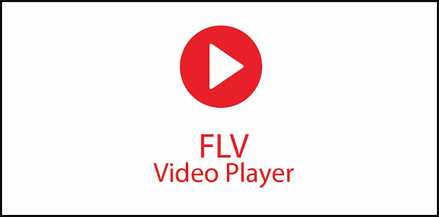 flv video player