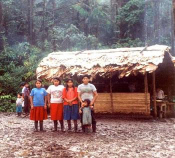 Culturas De La Amazonia 2017