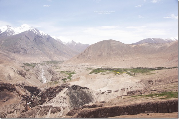 Ladakh177
