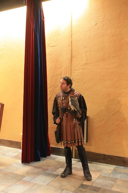 Meeting the falconer at Medieval Times in Schaumburg, Illinois