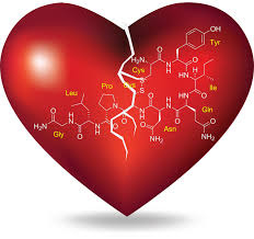 Un corazón con la fórmula química de la oxitocina escrita en su interior