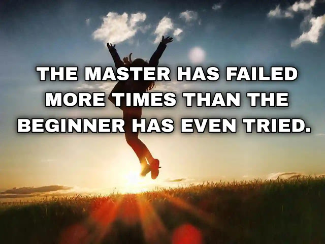 The master has failed more times than the beginner has even tried. Stephen McCranie
