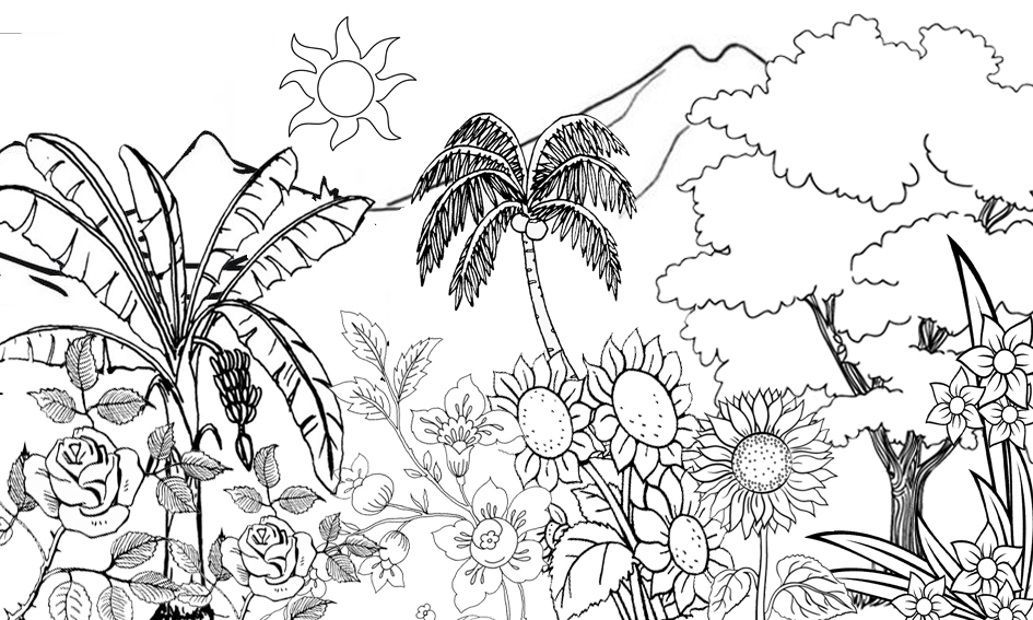  Sketsa  Gambar Taman  Bunga  Kartun