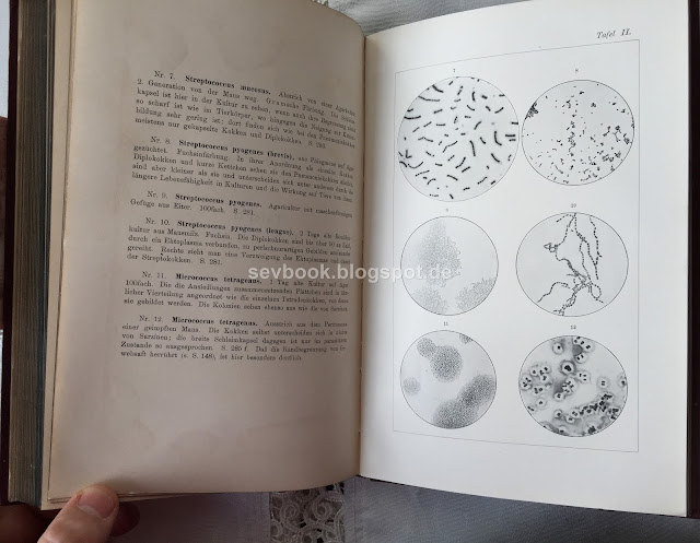 Lehrbuch der Bakteriologie, Diagnostik und Immunitätslehre Ludwig Heim