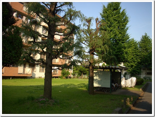 20120527_164345
