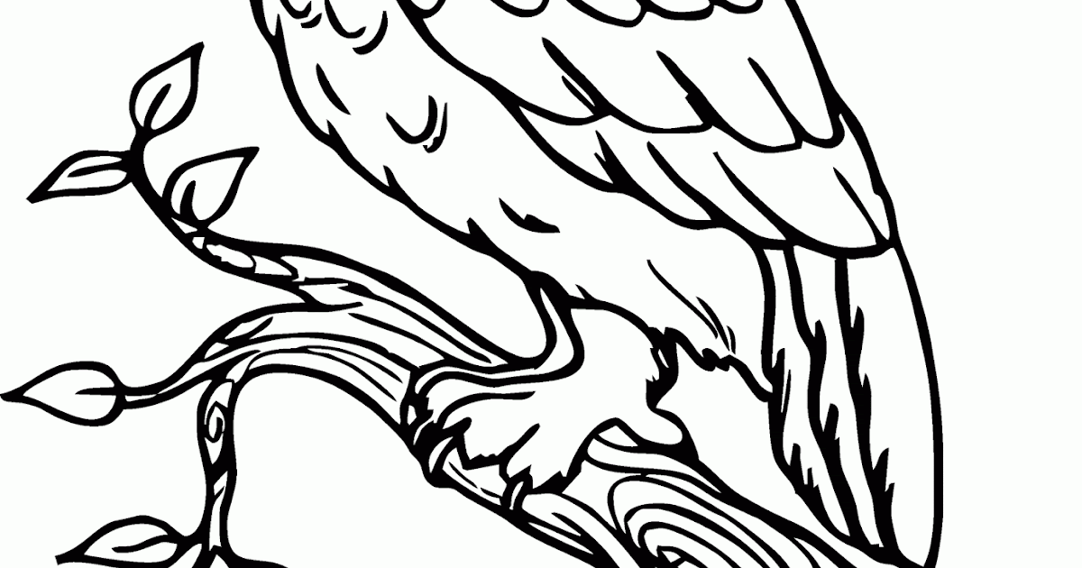 Mewarnai Gambar "Burung Hantu" Diatas Ranting - Contoh 