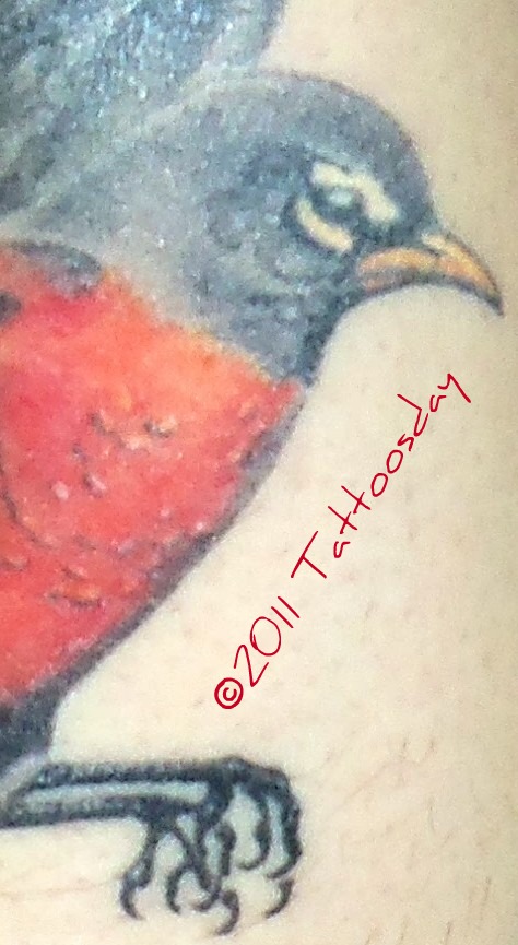 Tattoos Of Robins. The bird is an American Robin.