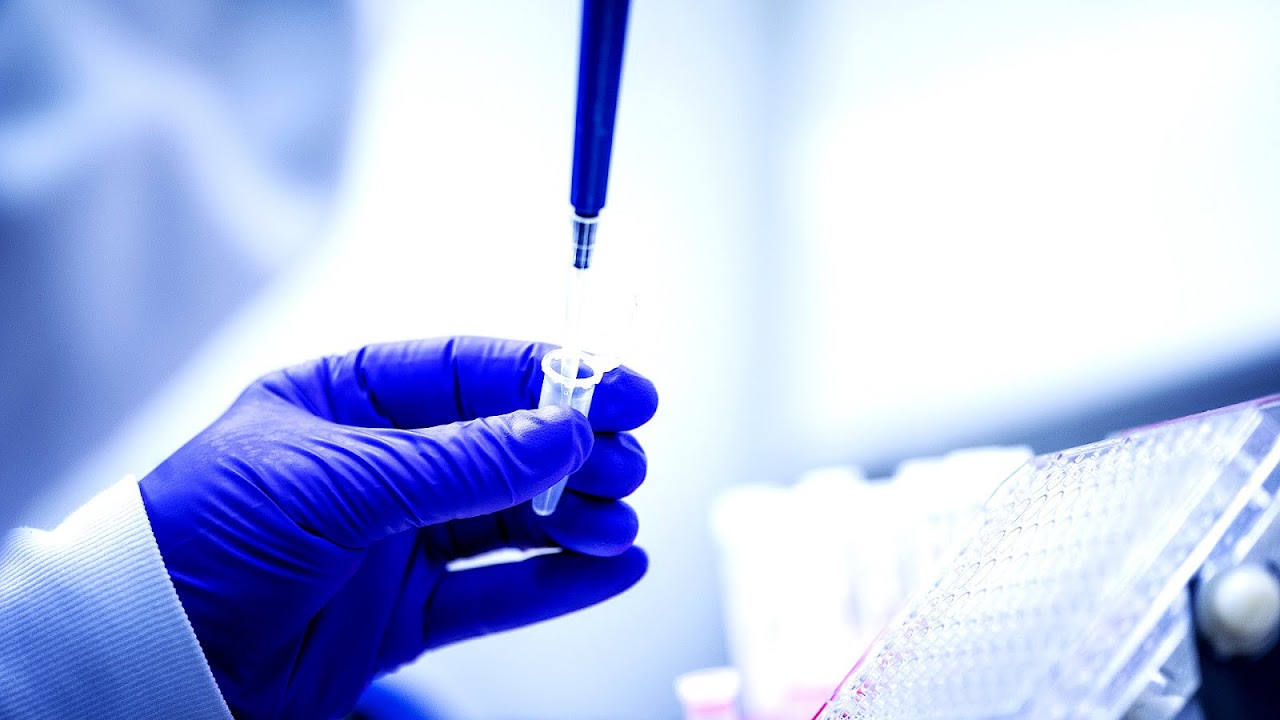 High Resolution Medical Images