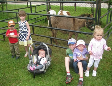 Bretzlaff Reunion 2013 3