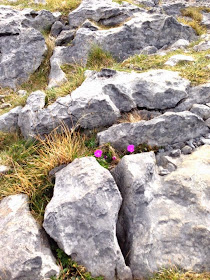 La région du Burren et les falaises de Moher Irlande