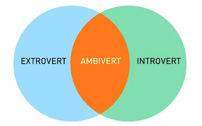 Ambivert