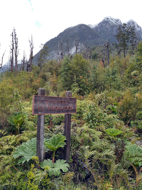 Carretera Austral, Parque Pumalín, Chile