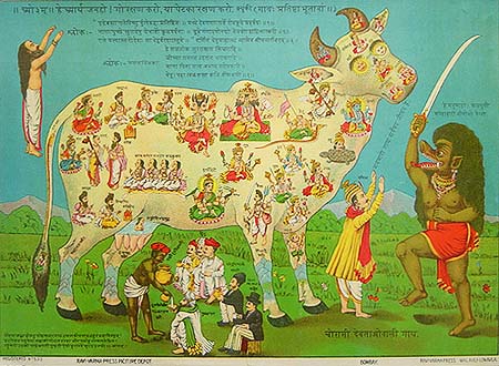 Why do Hindus Worship Cows - Kamdhenu Kali