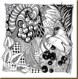 image 2011-1-13 0004