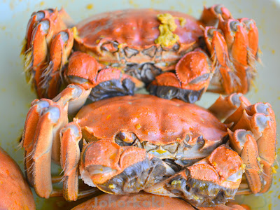 Shanghai-Hairy-Crabs-大閘蟹