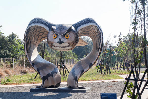 苗栗通霄月牙灣雕塑公園幸福飽滿大西瓜和守護貓頭鷹雕像免費參觀