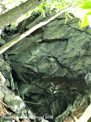 rock climbing, Ship's Prow, Rattlesnake Rocks, Blue Hills Reservation