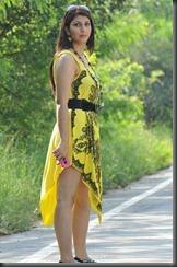 Disco Heroine Sarah Sharma Hot Pics