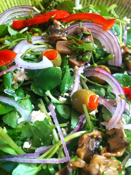 Wild watercress salad with red onions, feta, olives, red peppers, broccolini and mushrooms