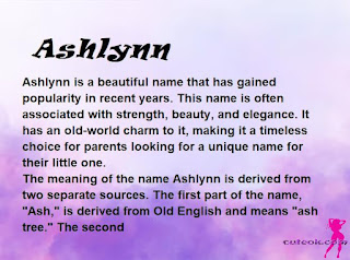 meaning of the name "Ashlynn"