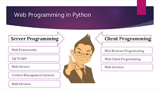 What Can You Do with Python?