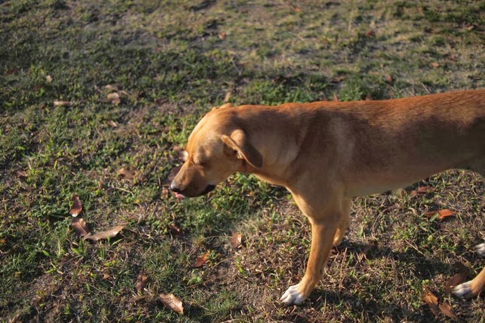 2014 02 19 at 19 24 31