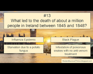 What led to the death of about a million people in Ireland between 1845 and 1848? Answer choices include: Influenza Epidemic, Black Plague, Starvation due to a potato fungus, Infestation of poisonous snakes with no anti-venom treatment