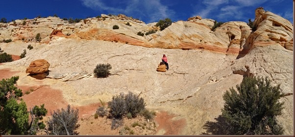 Torrey117-12 Jun 2013