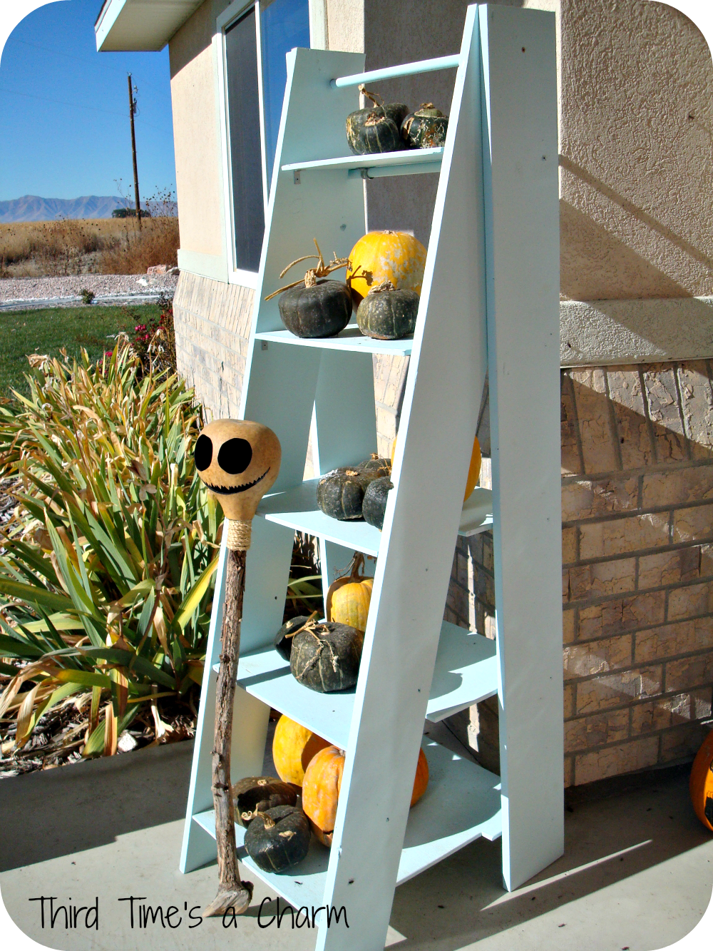 woodworking plans ladder shelf