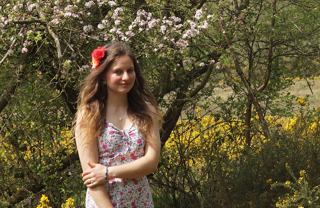 amongst the blossom and gorse