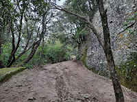 via francigena da nemi a castel gandolfo