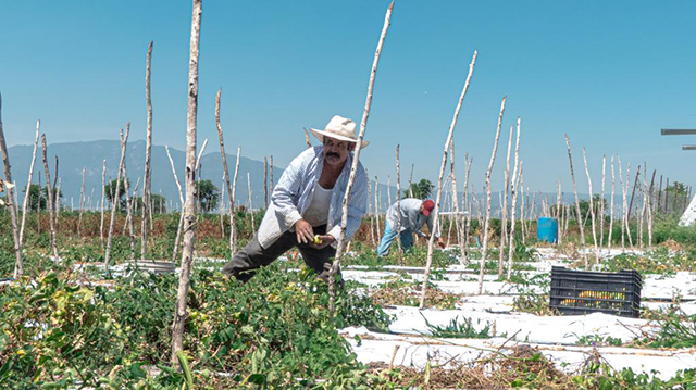 A 113 años de la Revolución, el campo sigue siendo víctima de promesas incumplidas