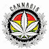 The Eco System Kit: Simplify Cannabis Growing with Organic Plug-and-Play Technology