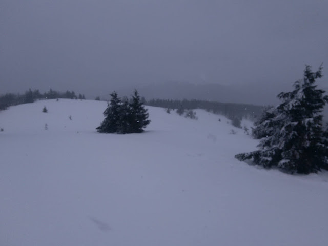 Sneh a hmla na Hornej lúke v Lúčasnskej Malej Fatre.